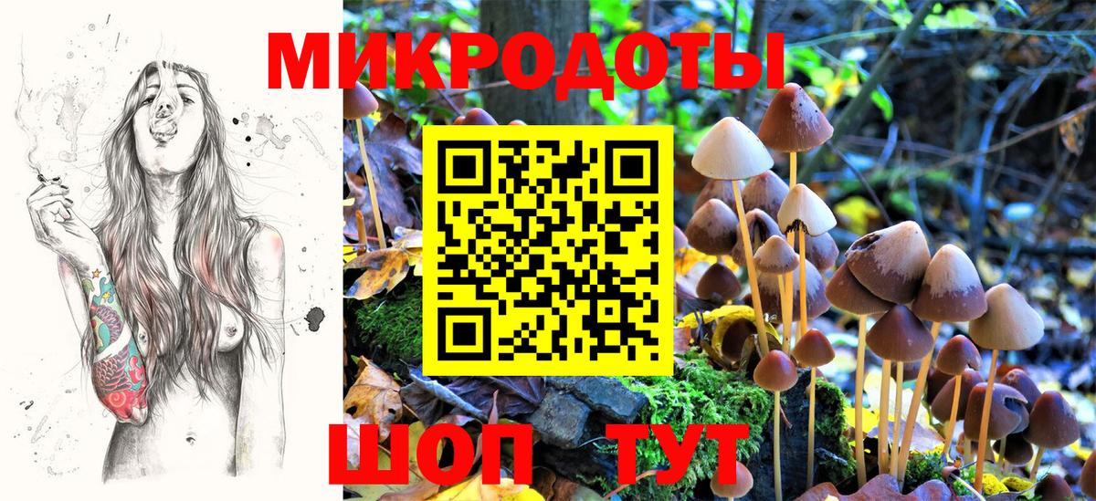 Галлюциногенные грибы ЛСД  Галлюциногенные грибы Magic Shrooms  Вход с VPN  Гусев 