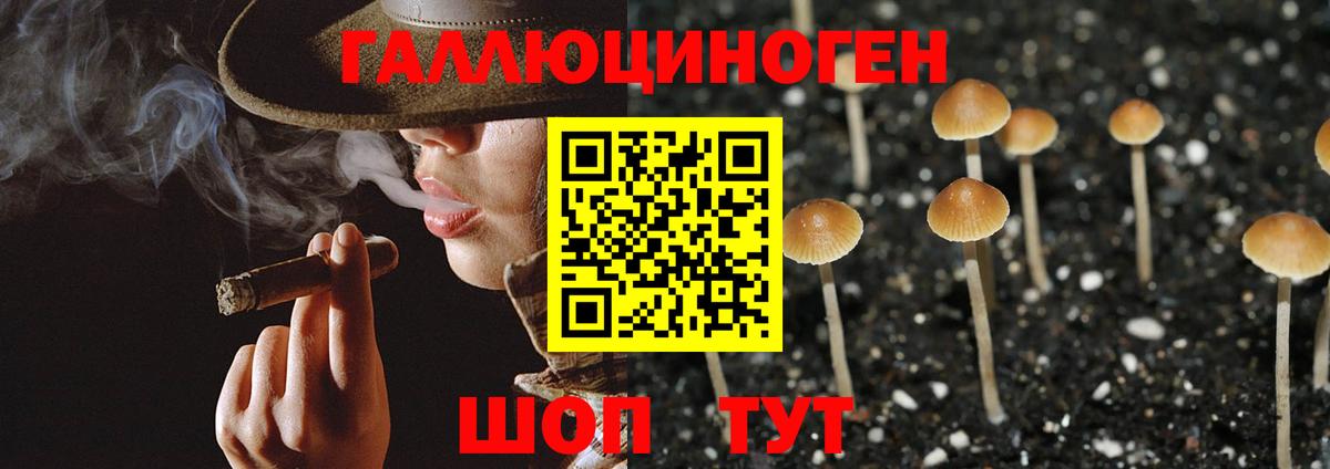 Псилоцибиновые грибы Magic Shrooms Гусев